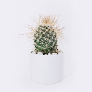 Gaungzhou Vase